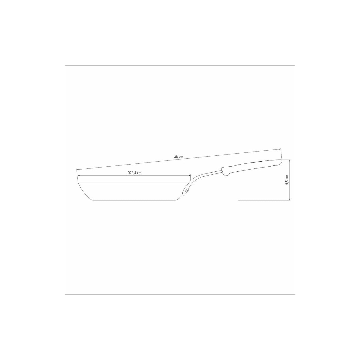 Professionaalne raudpann