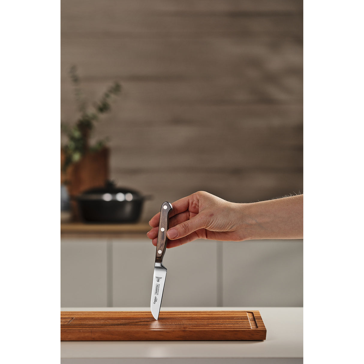 3'' VEGETABLE AND FRUIT KNIFE CENTURY WOOD